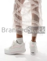 206087447-2.webp