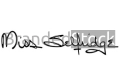 1 (17).png